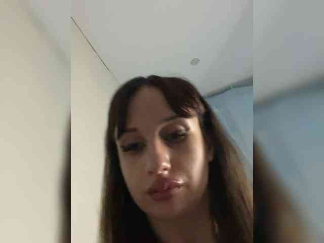 Bladis4
