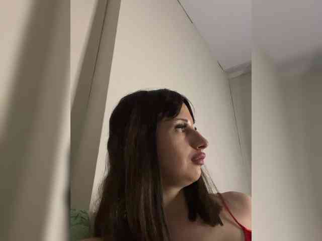 Bladis4