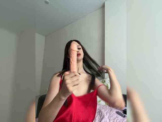 Bladis4