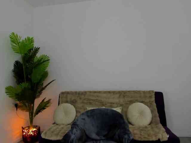 AryaBellex webcam