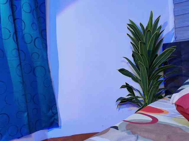 AURALISLUX Sex Cam Show
