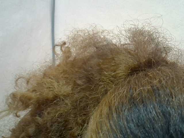 Anischah webcam