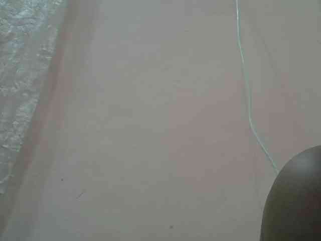 Anischah webcam