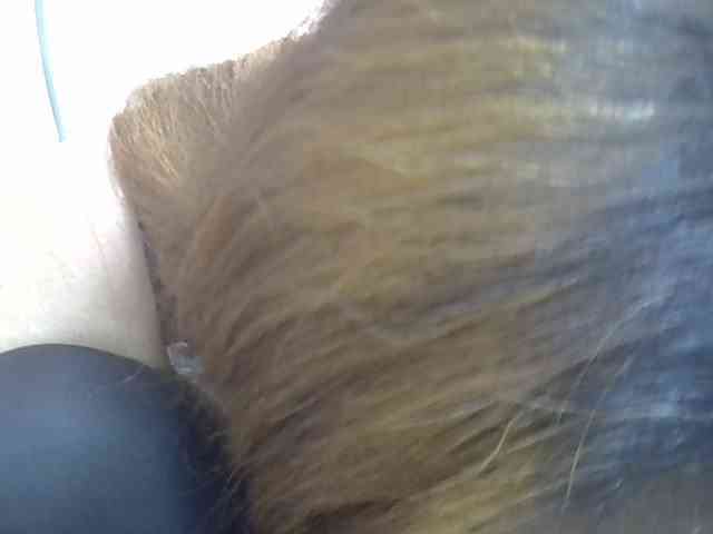 Anischah webcam