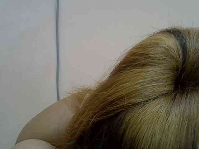Anischah