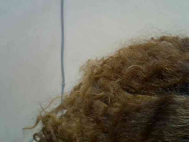 Anischah webcam