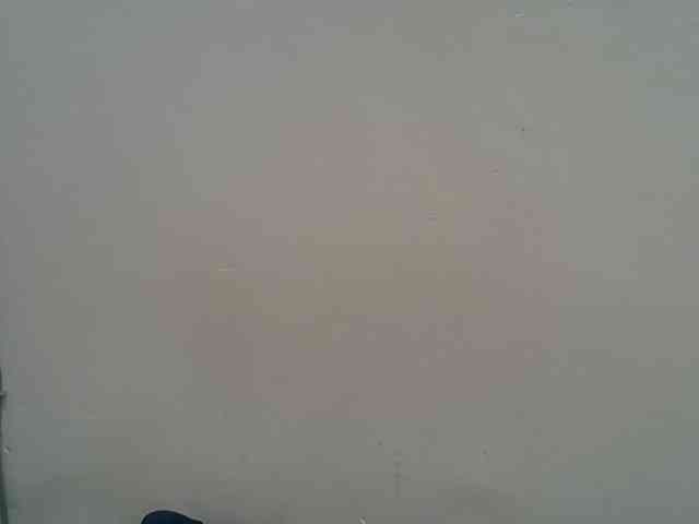 Anischah webcam