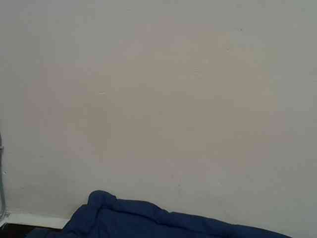 Anischah webcam