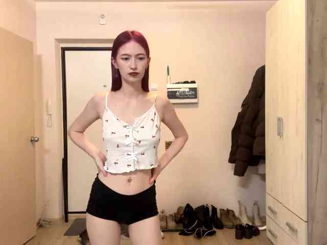 Modelo: VelvetCash