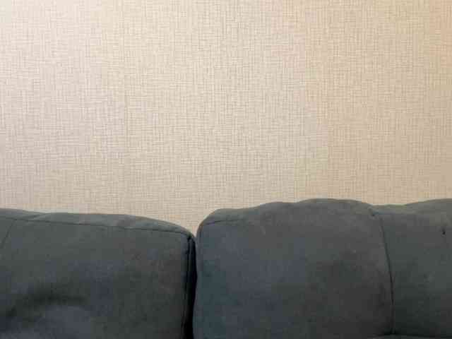 VelvetCash webcam