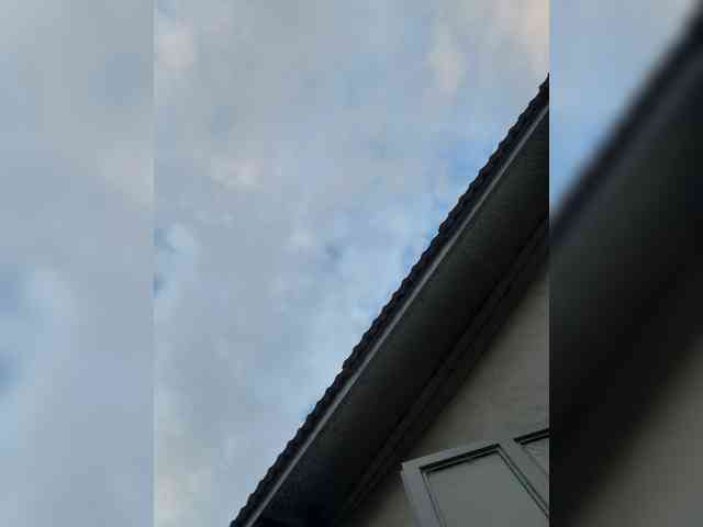 Lilybelle-88 webcam