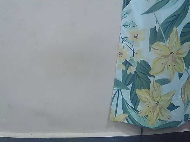 Ayischah live webcam show