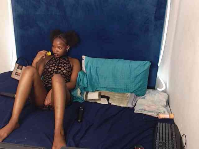 LISSAH26 webcam