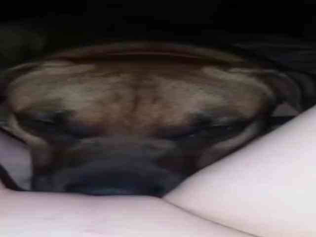 PolinaMins webcam
