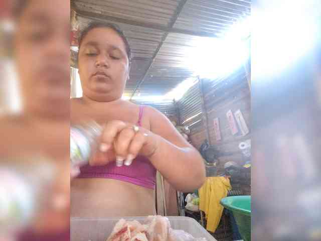 Modelito2 webcam