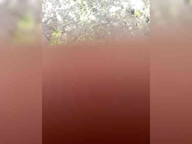 Dick1234543211