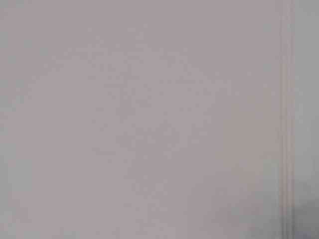 IvyLustt webcam
