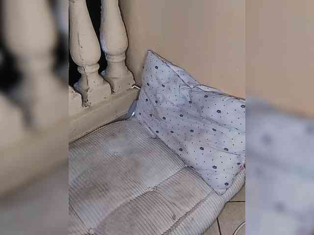 Charish webcam