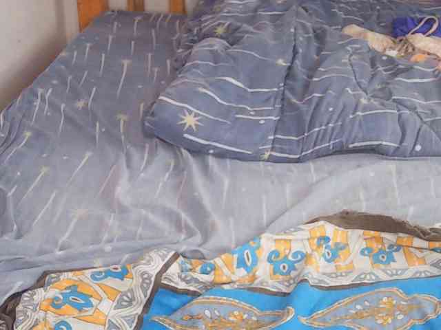 Charish webcam