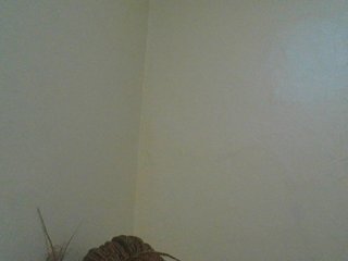 SexyAmelia1