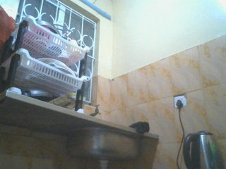 SexyAmelia1 Porn Show