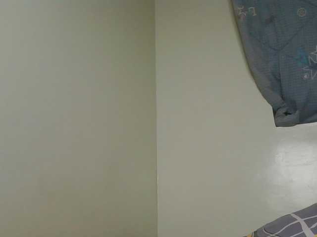 SexyAmelia1 live cam on BongaCams
