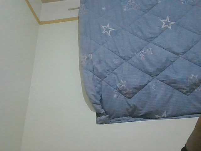 SexyAmelia1 live cam on BongaCams