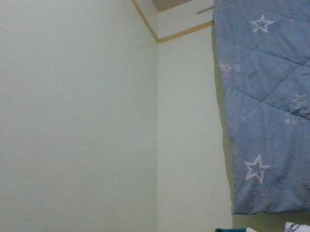 SexyAmelia1 live cam on BongaCams