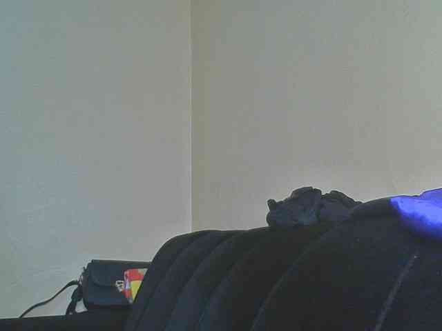 SexyAmelia1 webcam