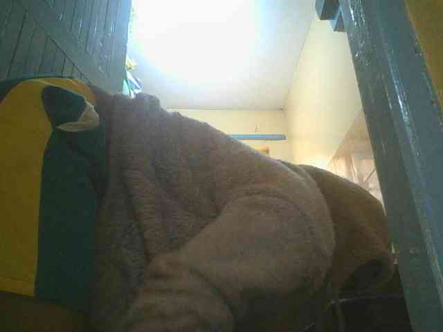 SexyAmelia1