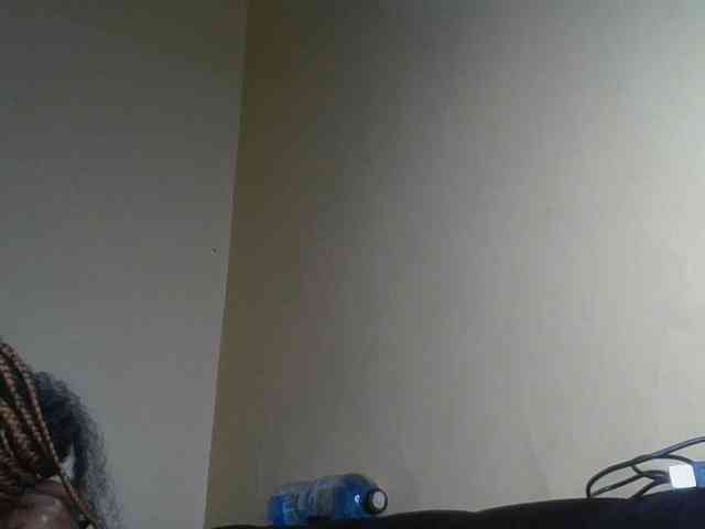 Monrax webcam