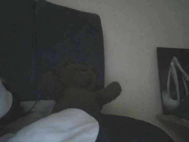 Monrax webcam