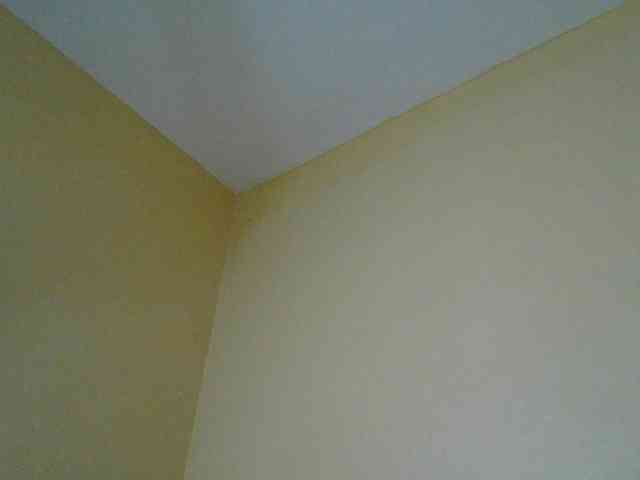 Monrax webcam