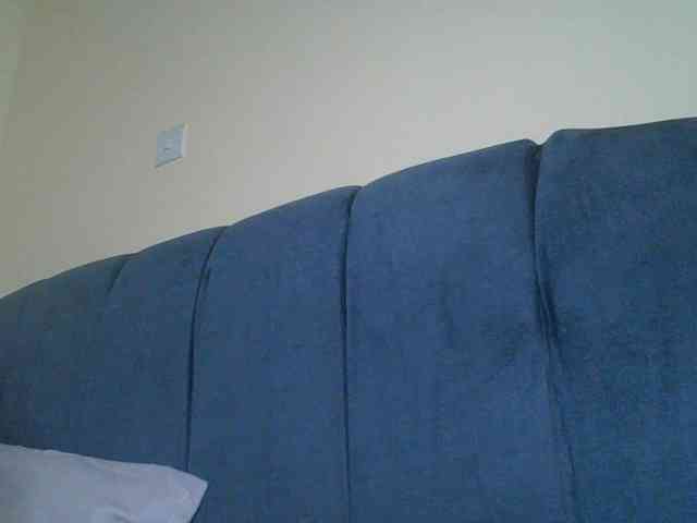 Monrax webcam