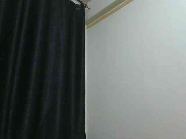 Monrax webcam