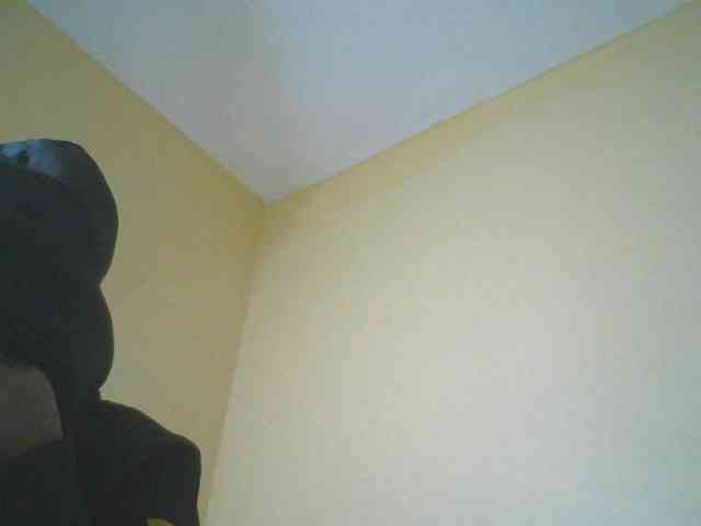 Monrax webcam