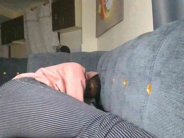 Monrax webcam