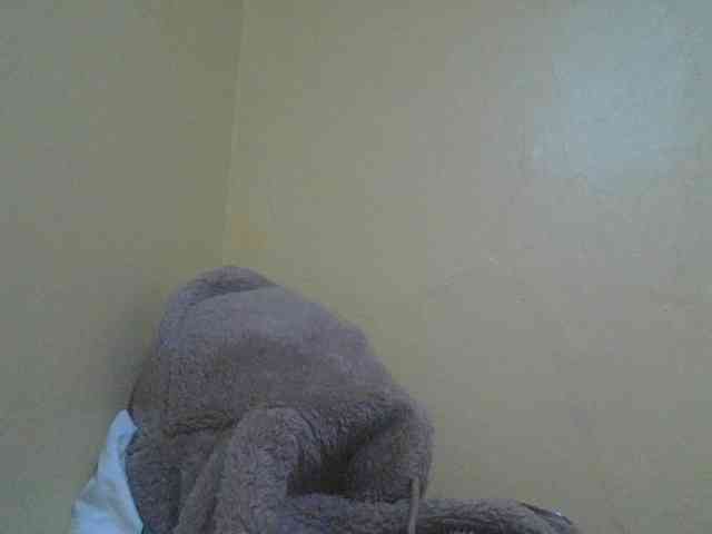 SexyAmelia1 webcam