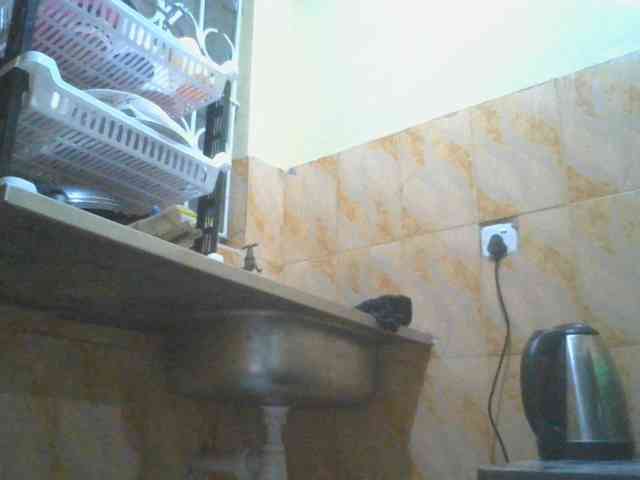 SexyAmelia1 webcam