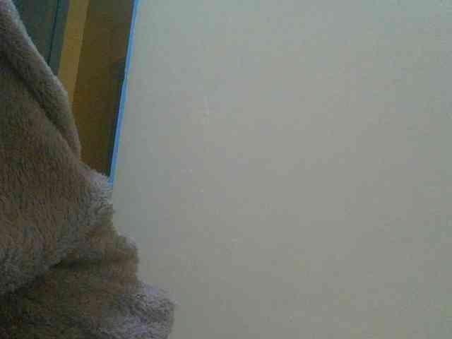 SexyAmelia1 webcam