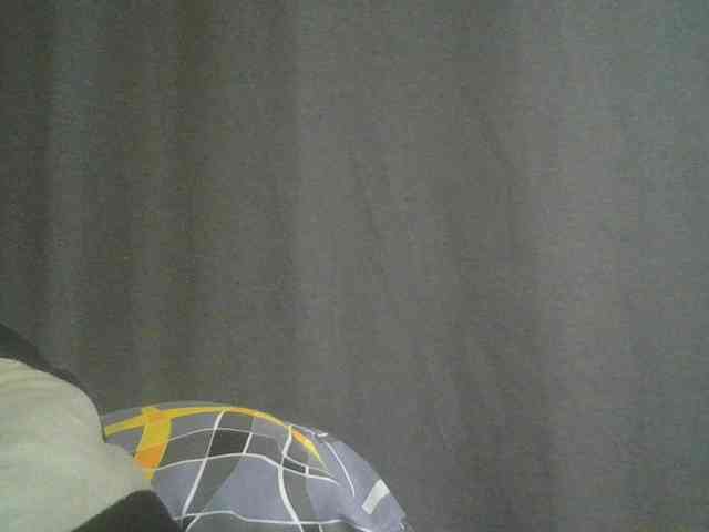 Monrax webcam
