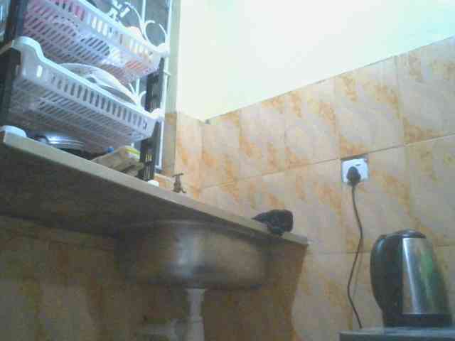 SexyAmelia1 webcam