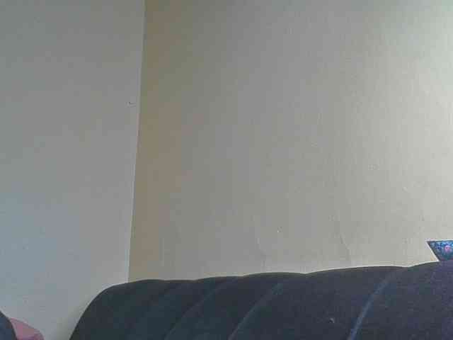 Monrax webcam