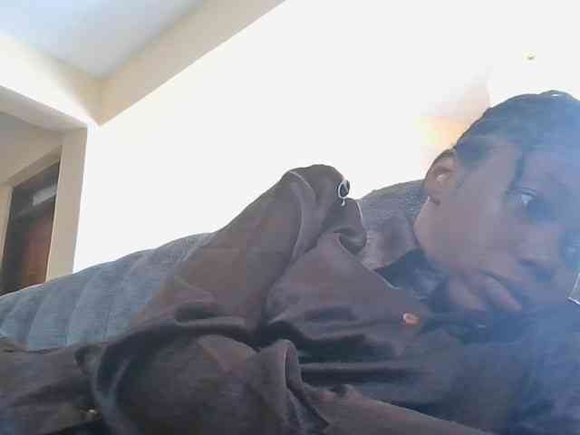 Monrax webcam