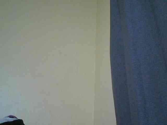Monrax webcam
