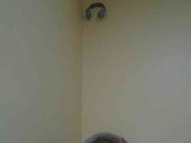 SexyAmelia1 webcam