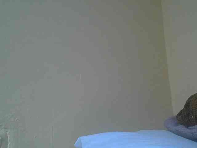 SexyAmelia1 webcam