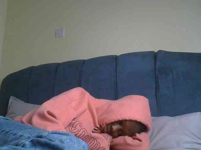 Monrax webcam