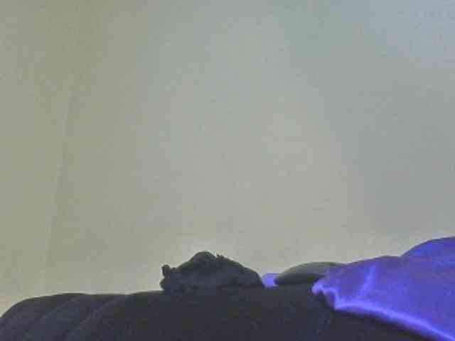 SexyAmelia1