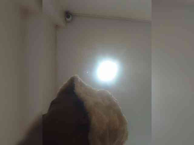 Monrax webcam